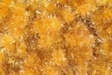 Intense Orange Calcite Crystal Cluster - Poland #228287-2